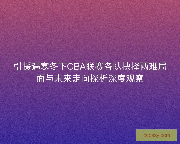 引援遇寒冬下CBA联赛各队抉择两难局面与未来走向探析深度观察